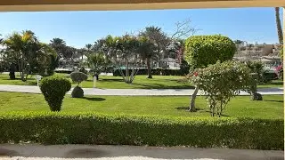 Coralsea waterworld Sharm Egypt family den room holiday Feb 2025