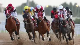 Hate Me || Horse Racing Music Video