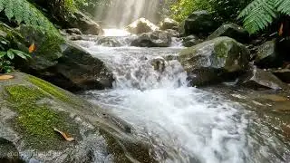 Pure River Stream ASMR 🌿 Relaxing Water Sounds for Deep Sleep, Stress Relief & Focus