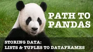 Lists and Tuples to Dataframes