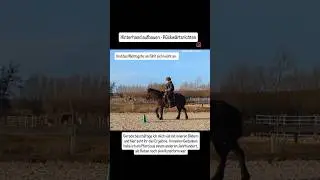 bewusster Reiten- Innere Bilder #pferde #pferdetraining #equestrian #islandpferd #propferd