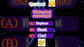 Which Animal Never Sleeps? | Animal Quiz That Will Shock You #gkquiz #worldnews #shorts