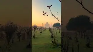 Taj Mahal view from mehtab bagh | Taj Mahal | Agra | Mehtab Bagh | Phone Shoot