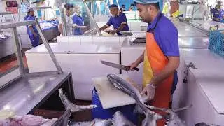 Jeddah Central Fish Market, Saudi Arabia