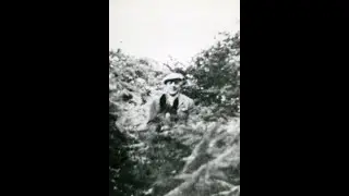 Dr Roles Monday Meeting on attention 8/11/77