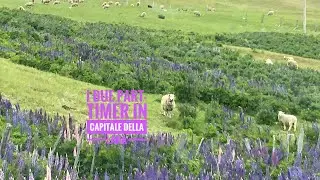 Coyaique e carretera austral