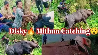 Aaj Pehle bar Aaisa hoa 😥😡Mithun Catching Arunachal Pradesh#wangjaibhai