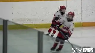 Under-9 Girls Hockey - Woodstock Wildcats vs Woolwich Wild