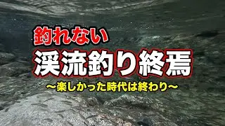 【渓流釣りは終わり】釣れない。爆釣だった川が環境悪化で永遠にさらば。天然アマゴの楽しかった里川の時代は終わり