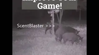Improve Your Game with ScentBlaster&trade;