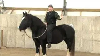 Horses Know the Way Home Clinics