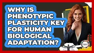 Why Is Phenotypic Plasticity Key For Human Biological Adaptation? - Anthropology Insights