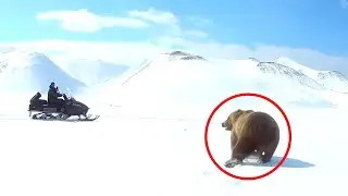 6 Terrifiantes Rencontres avec un Ours