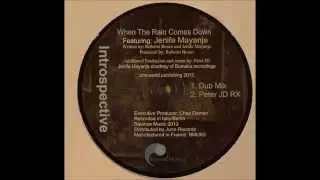 Introspective - When The Rain Comes Down feat Jenifa Mayanja (Peter Jd Remix)