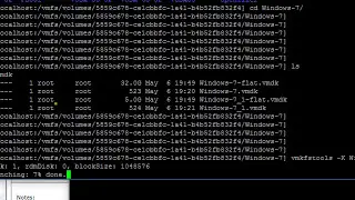 VMware - Advanced - VMDK Size reclamation for thin-provisioned disks