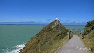 4K Nugget Point Lighthouse Otago  NEW ZEALAND ニュージーランド 紐西蘭 Part 63