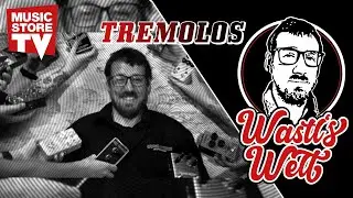 Das Gitarren-Tremolo - Jammerhaken, Vibrato- oder Tremolo-System