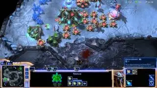 Protoss vs Zerg Elite AI on HOTS Neo Planet S LE