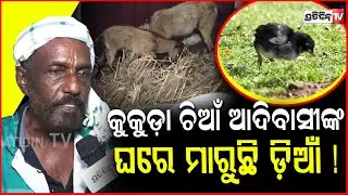 ଘୁଷରୀ ଓ କୁକୁଡ଼ା ଚିଆଁ ଆଦିବାସୀଙ୍କ ଘରେ ମାରୁଛି ଡ଼ିଆଁ ! Tribal huts and house at adivasi mela 2026, Bbsr.