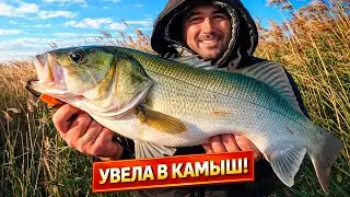Решение, которое изменило ход этой рыбалки на СИБАСА (ЛАВРАКА)