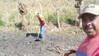 Dia de trabalho no brejo plantação de batata 