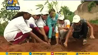 Govt to Initiate Special Steps to Protect Haritha Haram Trees in States