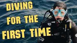Unveiling The Best Scuba Destinations For Beginners