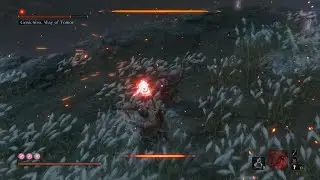 Sekiro: Shadows Die Twice - Final Boss