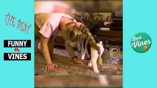 Pet Pals S1E14   basketball   funny animals animations kids cartoon  26