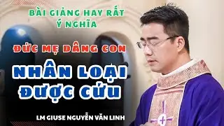 Đức Mẹ dâng Chúa trong Đền Thánh nhắc chúng ta biết phó thác dâng trọn đời mình choThiên Chúa như Mẹ