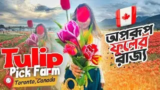 Pingles Tulip Farm| Taptap Send Money Transfer with $10 Bonus Code TRAVEL10