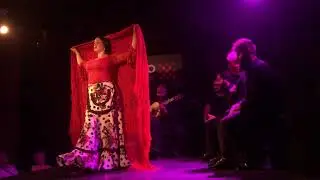 Female Flamenco dancer with scarf