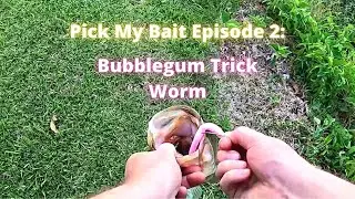 Pick My Bait Episode 2: Zoom Bubblegum Trick Worm
