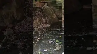 Retas Kund Kedarnath