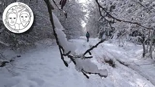 EifelBahnSteig Etappe 07: Zauberwald & Luxush&uuml;tte (Nettersheim - Blankenheim)