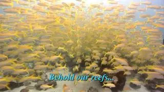 Vacation Homes Of Key West - Privately Owned Vacation Rental Company in Key West, FL-High Quality