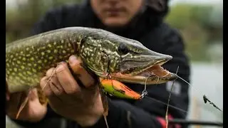 The catch pike on Rapala X-Rap Twitchin Mullet 08 (Hot Olive) & Shimano Speedmaster 21-56, 270 CX