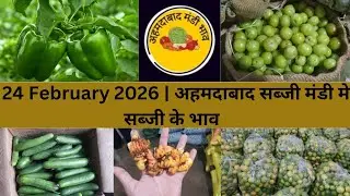 Ahmedabad wholesale vegetable market | 24 February 2026 | अहमदाबाद सब्जी मंडी मे सब्जी के भाव...