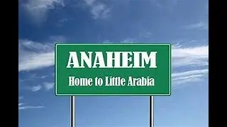 Anaheim City Council Meeting 6-8-21 - Little Arabia Speech