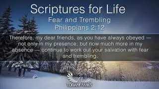 Scriptures for Life  |  Fear and Trembling