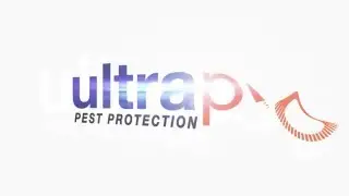 Integrated Pest Management For Keeping Rodents Out of Your Warehouse 3/5
