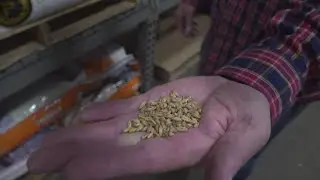 The price of brewing is about to change as tariffs impact local breweries