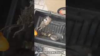 Никогда не доверяйте предыдущему владельцу при покупке машины!!! Я сделал отвратительное открытие...