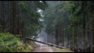 Som De Chuva #somdechuva #chuva #somdechuvaparadormir #somdachuva