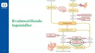 Konkrete legemidler   A   Fordøyelse og stoffskifte
