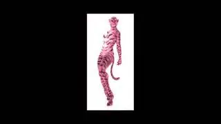 Nether Tiger Women New Look Fantendo  This is for BlackTank Network
