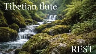 Stop Overthinking, Tibetan Flute for Deep Healing, Forest Video 4 k  Inner Strength & Calm Mind