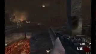 Black Ops 2 Tranzit Zombies RED Insta Kill Pro