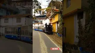 #indian coal steam toy train in Darjeeling Himalayan railway #darjeeling joyride toy train
