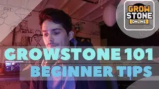 GROWSTONE 101 - BEGINNER TIPS IN 2018